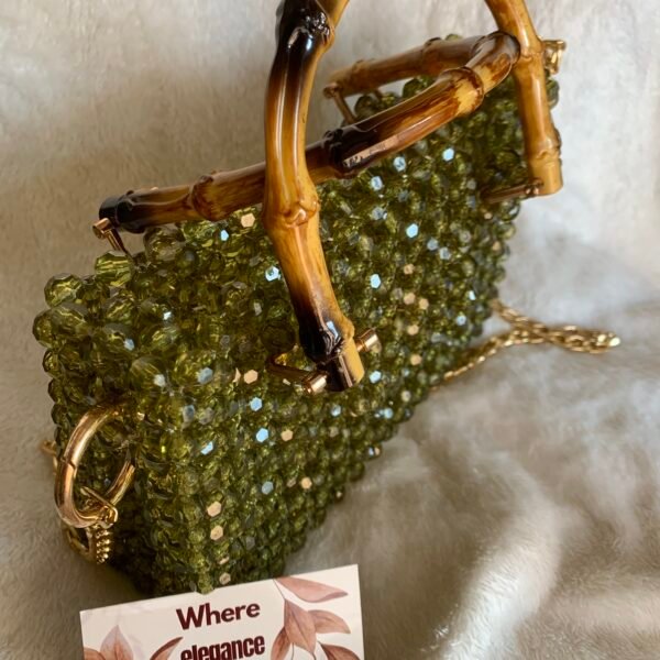 Pretty bag🤎🫒
