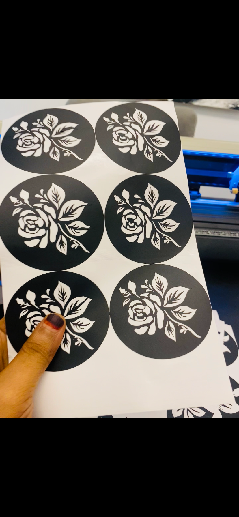 IMG_1909 KN 19 - الصورة 1